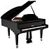 P 170 Trocadero Black Pleyel