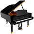 P 190 Black Pleyel