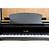 P 190 Black Pleyel