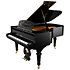 P 190 Opera Black Pleyel