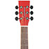 Discovery DBT SFCE RD Tanglewood