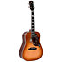 DM-SG5 Heritage Sunburst + softcase Sigma Guitars