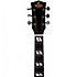 DM-SG5 Heritage Sunburst + softcase Sigma Guitars