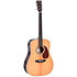 DT-1 Sigma Guitars