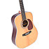 DT-1 Sigma Guitars