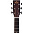 DT-1 Sigma Guitars