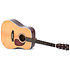 DT-1 Sigma Guitars