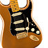 Bruno Mars Stratocaster Mocha Fender