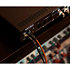 AudioFuse 16 Rig Arturia