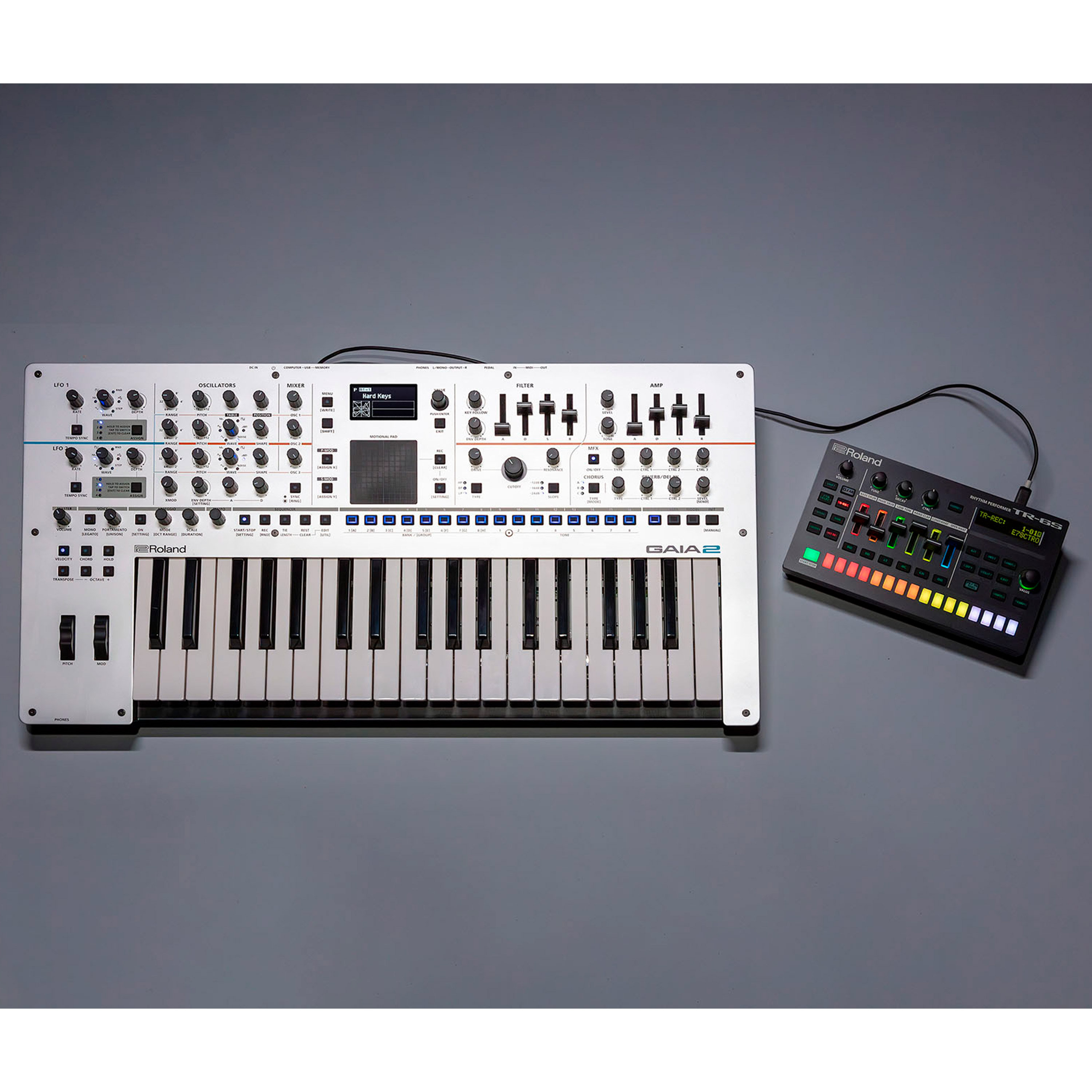 Roland Gaia 2 - Sintetizador SonoVente.com - es