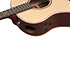AAM780E NT Platinum Collection Natural High Gloss + Etui Ibanez