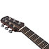 AAM700CE NT Platinum Collection Natural High Gloss + Etui Ibanez