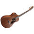 AAM54 OPN Sapele Open Pore Natural Ibanez