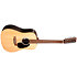 D-X2E 12 Sitka/Faux Brazilian Rw HPL + Housse Martin Guitars