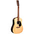 D-X2E 12 Sitka/Faux Brazilian Rw HPL + Housse Martin Guitars