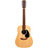 D-X2E 12 Sitka/Faux Brazilian Rw HPL + Housse Martin Guitars