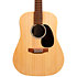 D-X2E 12 Sitka/Faux Brazilian Rw HPL + Housse Martin Guitars