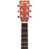 D-X1E Mahogany/Mahogany HPL  + Housse Martin Guitars