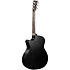 GPC-X1E Black/Black HPL + Housse Martin Guitars