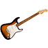 Player Stratocaster Anniversary Pau Ferro 2-color sunburst Fender