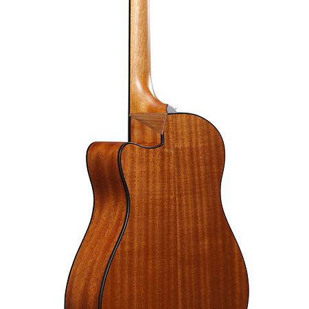 AAM50CE Open Pore Natural Ibanez