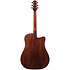 AAD170LCELGS Advanced Acoustic Left Natural Low Gloss Ibanez