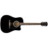 FA-125CE Dreadnought WN Black Fender