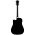 FA-125CE Dreadnought WN Black Fender