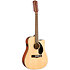 CD-60SCE Dreadnought 12 String WN Natural Fender