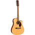 CD-140SCE Dreadnought 12 String WN Natural + Etui Fender