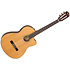 CN-140SCE Nylon Thinline WN Natural + Etui Fender