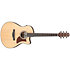 AAM50CE Open Pore Natural Ibanez