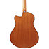 AAM50CE Open Pore Natural Ibanez