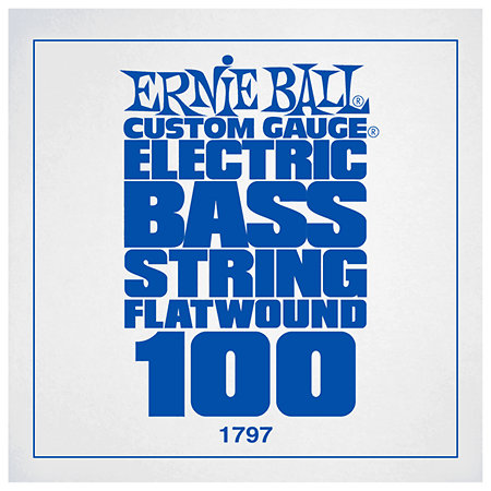 Ernie Ball 1797 Slinky Flatwound 100