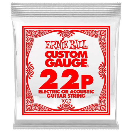 Ernie Ball 1022 Slinky Nickel Wound 22