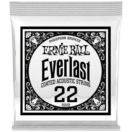 10222 Everlast Coated Phophore Bronze 22 Ernie Ball