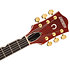 G6120TG Players Edition Nashville Orange Stain Gretsch Guitars