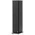 Horus 11F Black Carbon Elipson