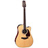 GD90CEMD-NAT Takamine