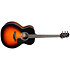 GN30BSB Brown Sunburst Takamine