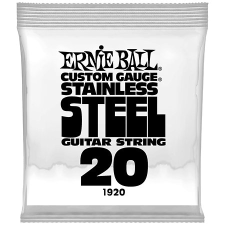 1920 Slinky Stainless Steel 20 Ernie Ball