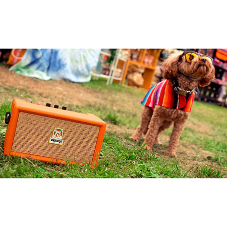 Orange Box Orange