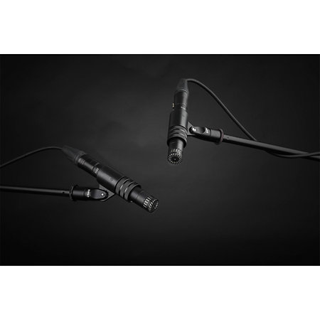 ST2012 Compact Cardioid Stereo pair DPA