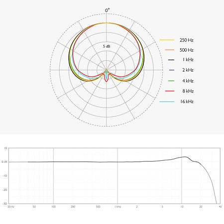 ST2012 Compact Cardioid Stereo pair DPA