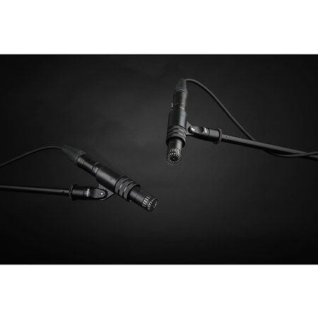 ST2015 Wide Cardioid Stereo Pair DPA