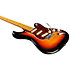 S300 Vintage Sunburst EKO