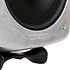 8030 RAW (l'unité) Genelec