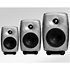 8030 RAW (l'unité) Genelec