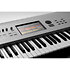 Nautilus 61 AT Gray Limited Edition Korg