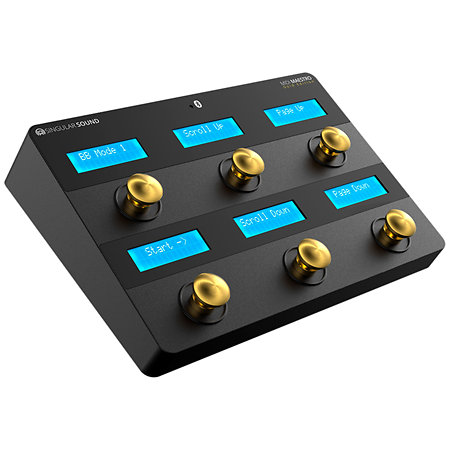 MIDI Maestro Gold Edition Singular Sound